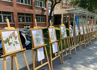 城市建设学院风景园林“生•态”文化艺术节系列活动 之《园林花卉学》植物标本展顺利开展